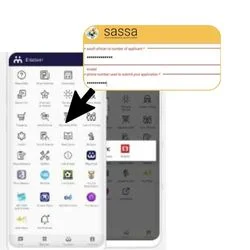 SASSA Status Check via Moya app